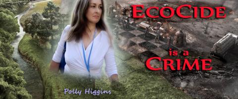 Ecocide is a Crime - Polly Higgins