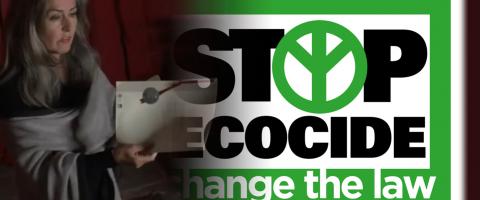 Stop Ecocide - change the law