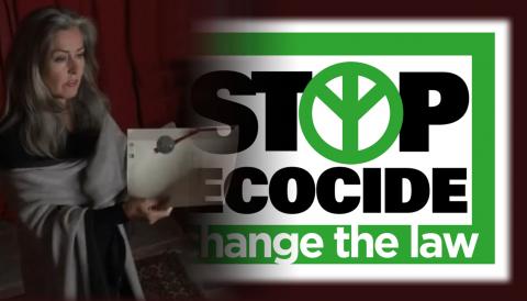 Stop Ecocide - change the law